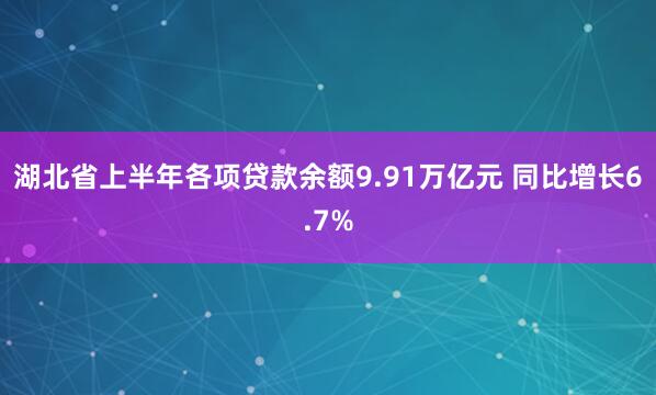 湖北省上半年各项贷款余额9.91万亿元 同比增长6.7%