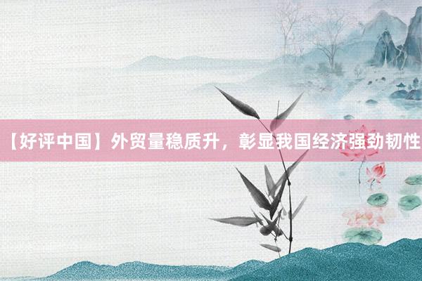 【好评中国】外贸量稳质升，彰显我国经济强劲韧性
