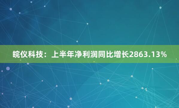 皖仪科技：上半年净利润同比增长2863.13%