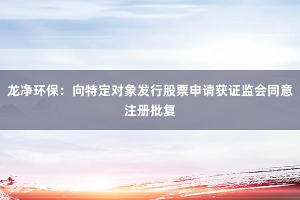 龙净环保：向特定对象发行股票申请获证监会同意注册批复
