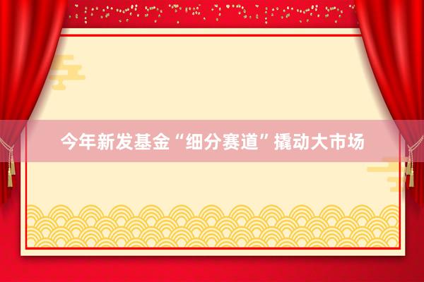 今年新发基金“细分赛道”撬动大市场