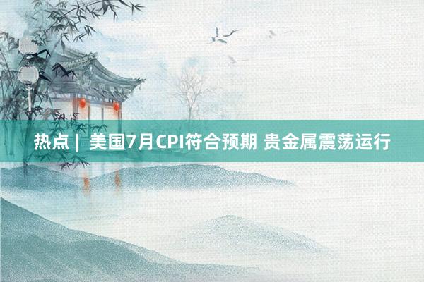 热点 |  美国7月CPI符合预期 贵金属震荡运行