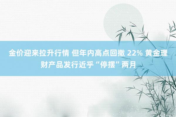 金价迎来拉升行情 但年内高点回撤 22% 黄金理财产品发行近乎“停摆”两月