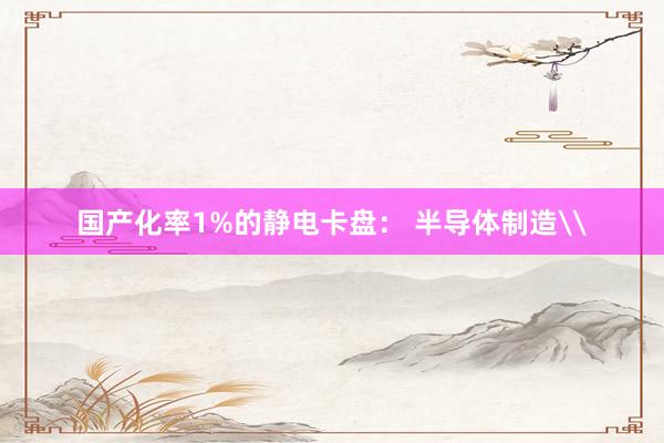 国产化率1%的静电卡盘： 半导体制造\
