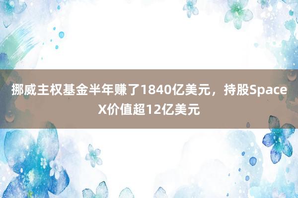 挪威主权基金半年赚了1840亿美元，持股SpaceX价值超12亿美元