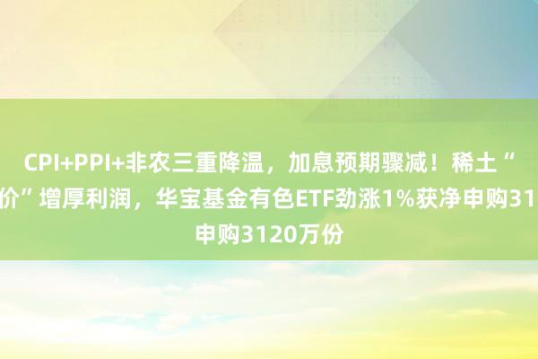 CPI+PPI+非农三重降温，加息预期骤减！稀土“低量高价”增厚利润，华宝基金有色ETF劲涨1%获净申购3120万份