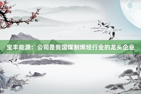 宝丰能源:公司是我国煤制烯烃行业的龙头企业