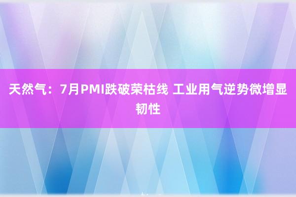 天然气：7月PMI跌破荣枯线 工业用气逆势微增显韧性