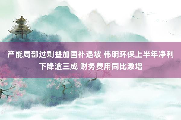 产能局部过剩叠加国补退坡 伟明环保上半年净利下降逾三成 财务费用同比激增