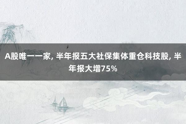 A股唯一一家, 半年报五大社保集体重仓科技股, 半年报大增75%