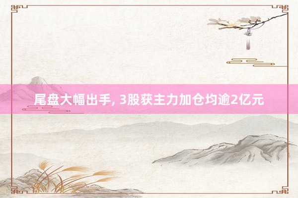 尾盘大幅出手, 3股获主力加仓均逾2亿元