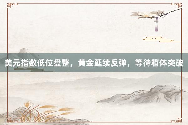 美元指数低位盘整，黄金延续反弹，等待箱体突破