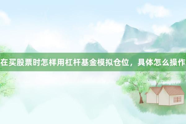 在买股票时怎样用杠杆基金模拟仓位，具体怎么操作