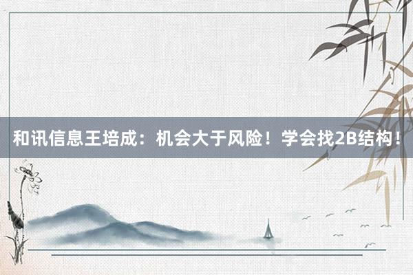 和讯信息王培成：机会大于风险！学会找2B结构！
