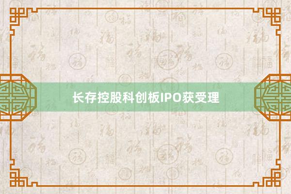 长存控股科创板IPO获受理