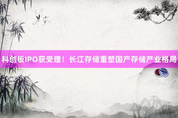 科创板IPO获受理！长江存储重塑国产存储产业格局