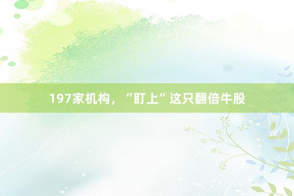 197家机构，“盯上”这只翻倍牛股