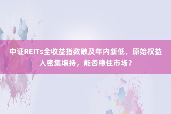中证REITs全收益指数触及年内新低，原始权益人密集增持，能否稳住市场？