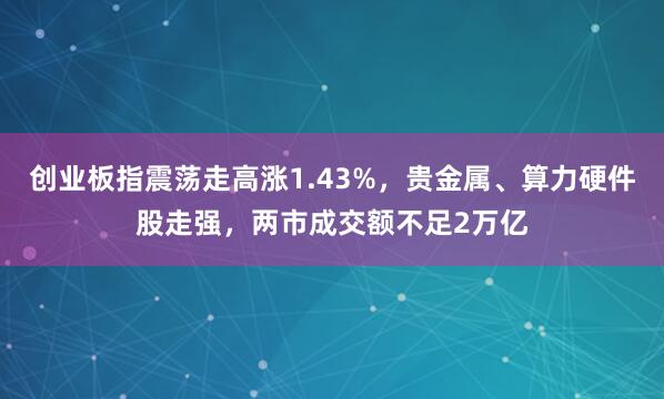 创业板指震荡走高涨1.43%，贵金属、算力硬件股走强，两市成交额不足2万亿