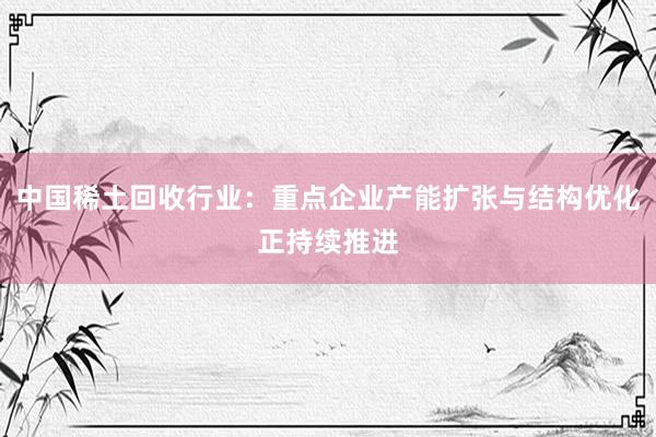 中国稀土回收行业：重点企业产能扩张与结构优化正持续推进