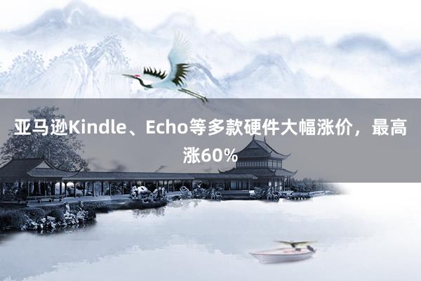 亚马逊Kindle、Echo等多款硬件大幅涨价，最高涨60%