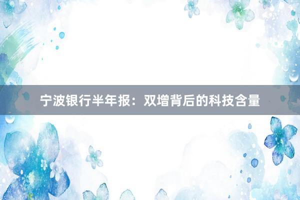 宁波银行半年报：双增背后的科技含量