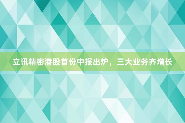立讯精密港股首份中报出炉，三大业务齐增长