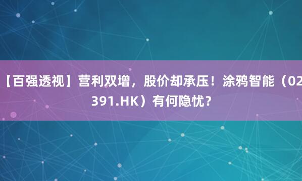 【百强透视】营利双增，股价却承压！涂鸦智能（02391.HK）有何隐忧？