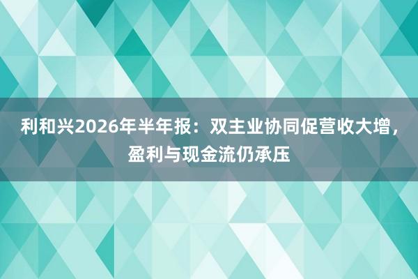利和兴2026年半年报：双主业协同促营收大增，盈利与现金流仍承压