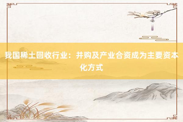 我国稀土回收行业：并购及产业合资成为主要资本化方式