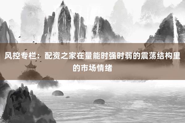风控专栏：配资之家在量能时强时弱的震荡结构里的市场情绪