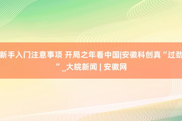 新手入门注意事项 开局之年看中国|安徽科创真“过劲”_大皖新闻 | 安徽网
