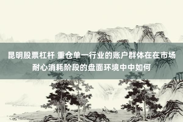 昆明股票杠杆 重仓单一行业的账户群体在在市场耐心消耗阶段的盘面环境中中如何