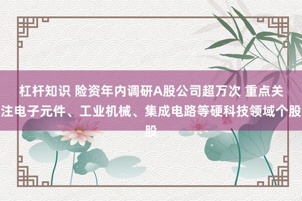 杠杆知识 险资年内调研A股公司超万次 重点关注电子元件、工业机械、集成电路等硬科技领域个股