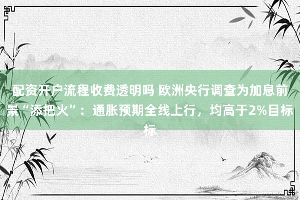 配资开户流程收费透明吗 欧洲央行调查为加息前景“添把火”：通胀预期全线上行，均高于2%目标