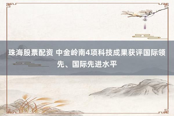 珠海股票配资 中金岭南4项科技成果获评国际领先、国际先进水平