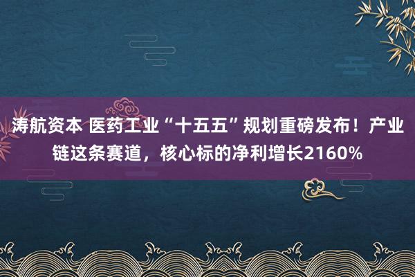 涛航资本 医药工业“十五五”规划重磅发布！产业链这条赛道，核心标的净利增长2160%