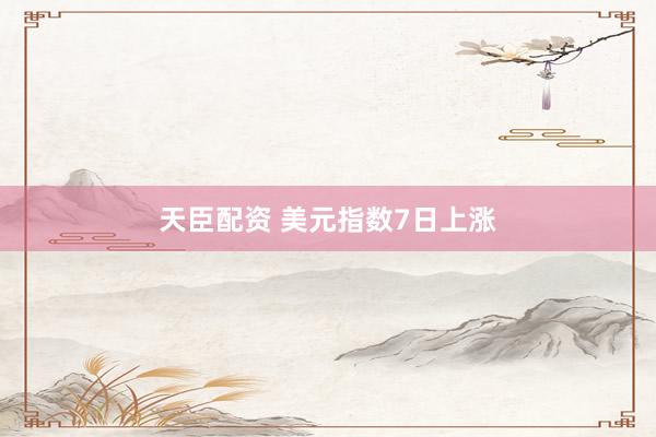 天臣配资 美元指数7日上涨