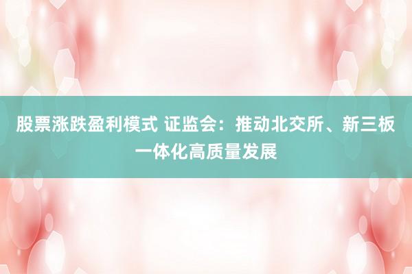 股票涨跌盈利模式 证监会：推动北交所、新三板一体化高质量发展